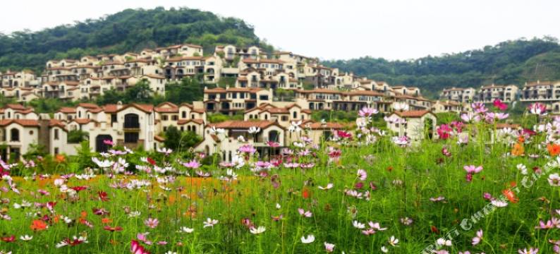 桦语度假主题公寓(富力南昆山温泉谷店)图片