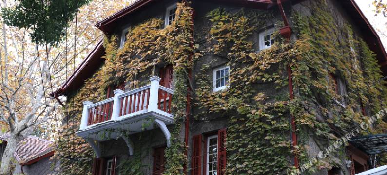 上海雪碧老洋房图片