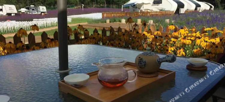 威宁黔韵紫海花园酒店图片