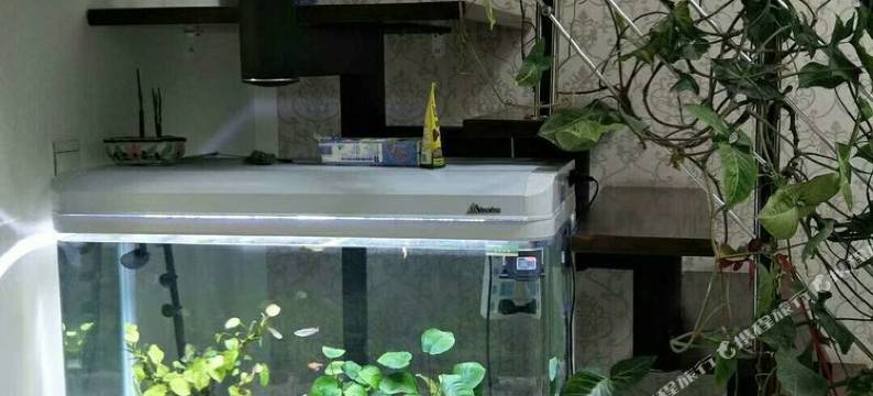 普洱景谷明羲之家复式图片