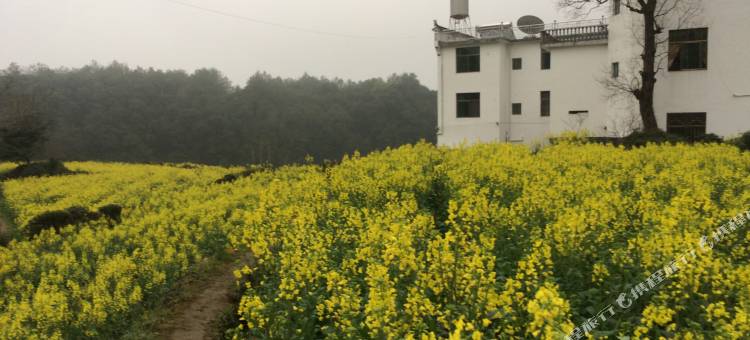 婺源江岭和谐山庄(江岭景区店)图片