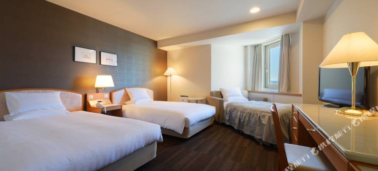 机场航站楼酒店(Air Terminal Hotel)图片