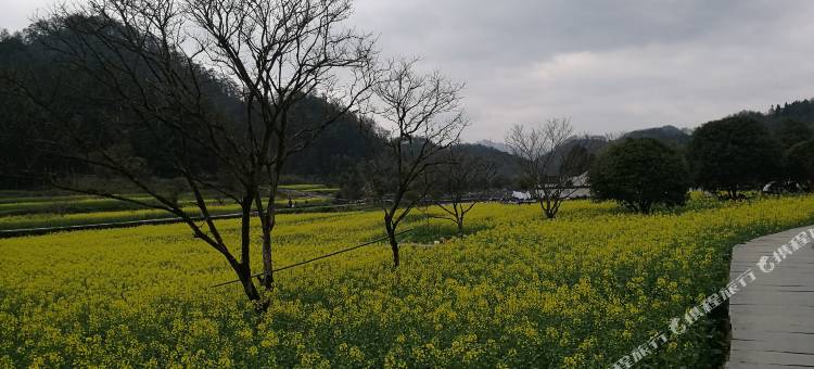 西递半耕草堂客栈图片
