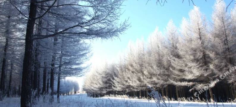 乌兰布统草原云朵宾馆图片