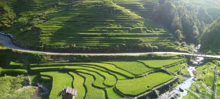 从江加榜云上梯田景观酒店图片