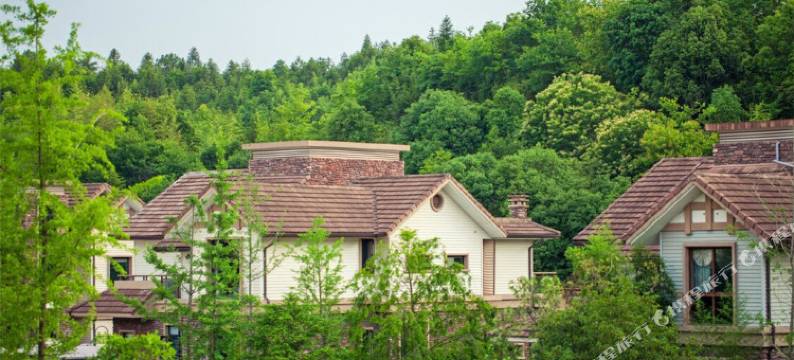 武夷山水庄客栈图片