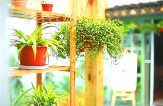 苏州声声曼民宿