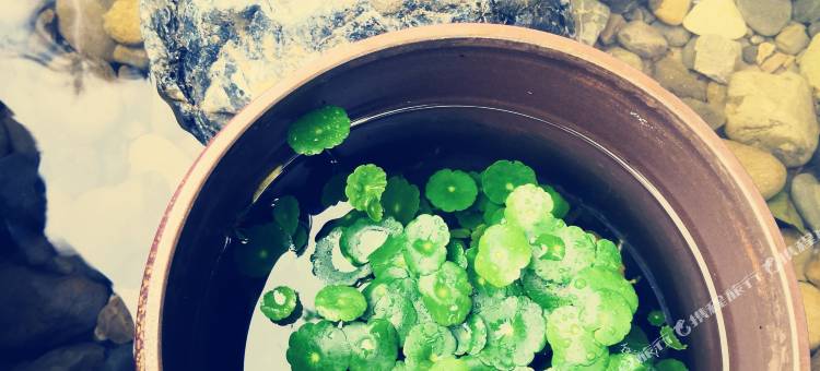 屏边桂舍民宿图片