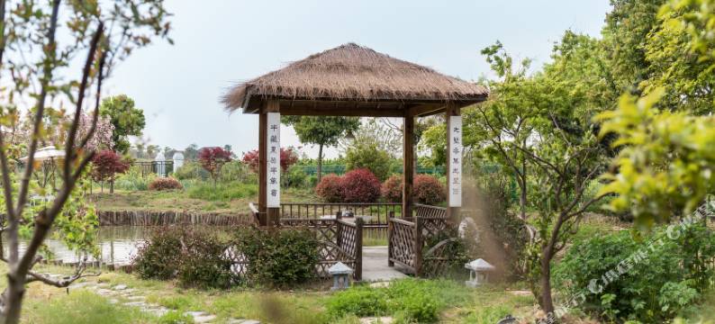 久窝民宿(苏州墙里村店)图片