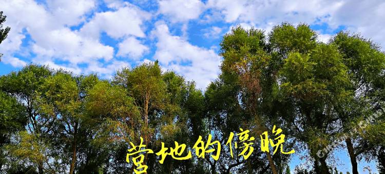 敦煌西行部落·房车自驾游营地图片