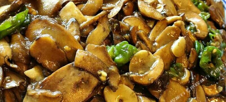 昆明古榕青年客栈图片