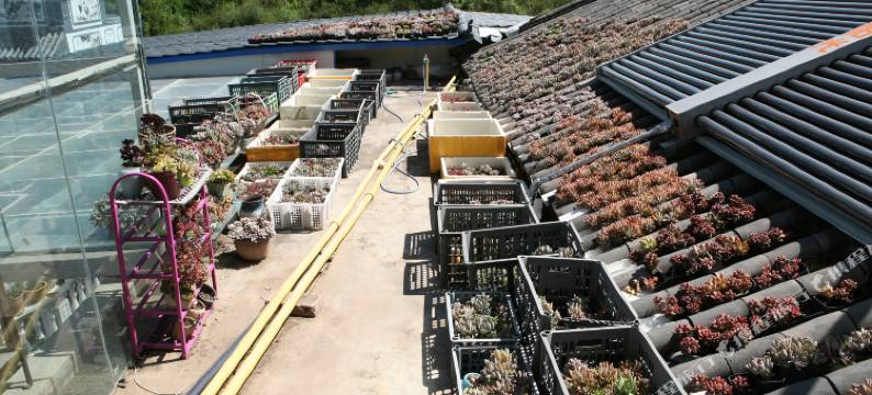 大理花之屋客栈图片