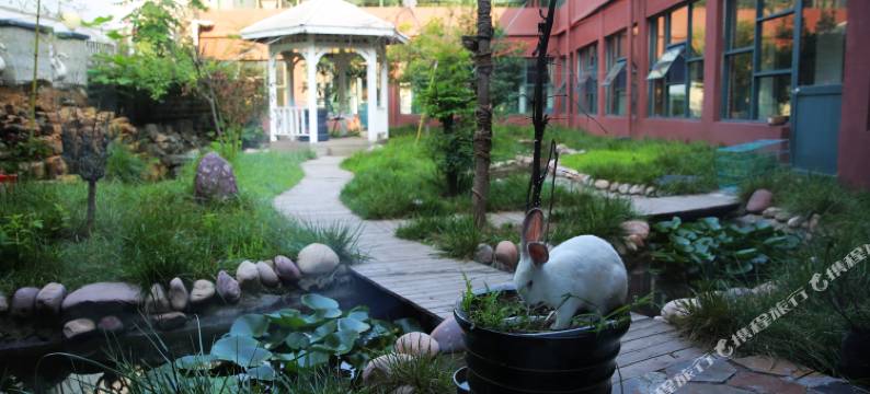 济源蔷薇小筑艺术酒店图片