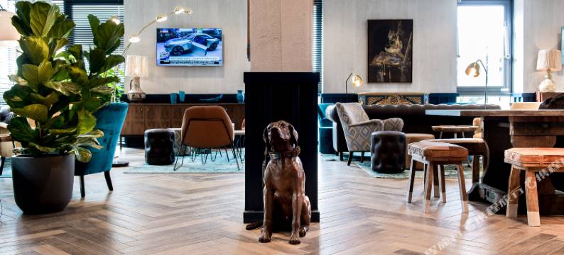 里昂安盟体育场科普斯特尔酒店(Kopster Hotel Lyon Groupama Stadium)图片