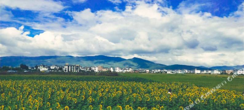 格盟酒店(大理古城南门店)图片