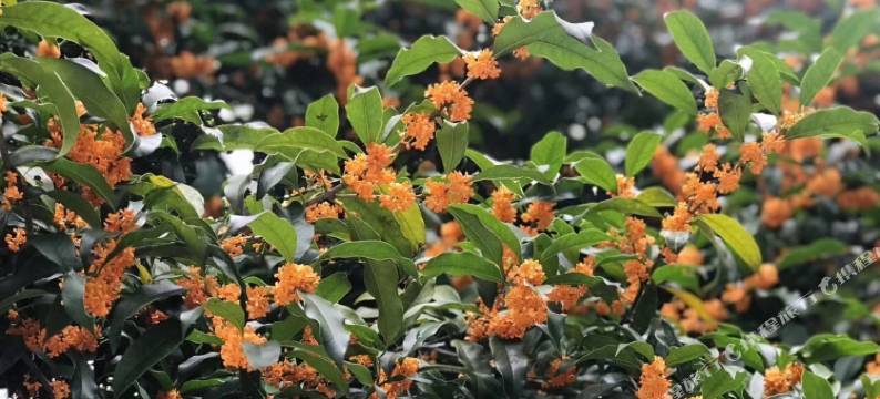 杭州沐曦民宿图片