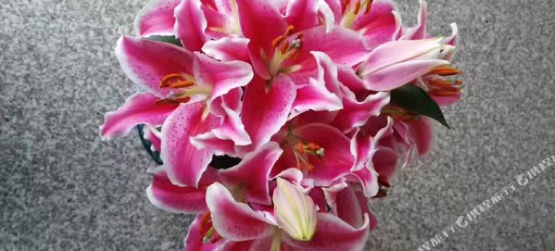 九华山福轩山庄图片