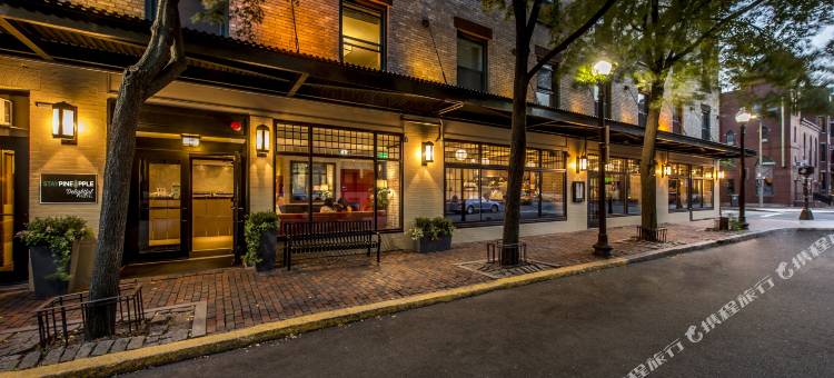 城南菠萝愉悦酒店(Staypineapple, A Delightful Hotel, South End)图片