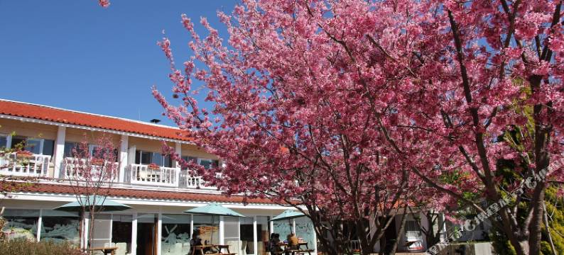 南投清境农场国民宾馆图片