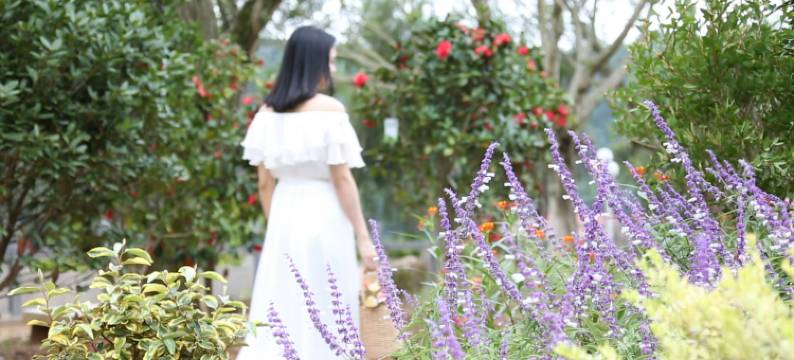 梅州雁山湖国际花园度假区图片