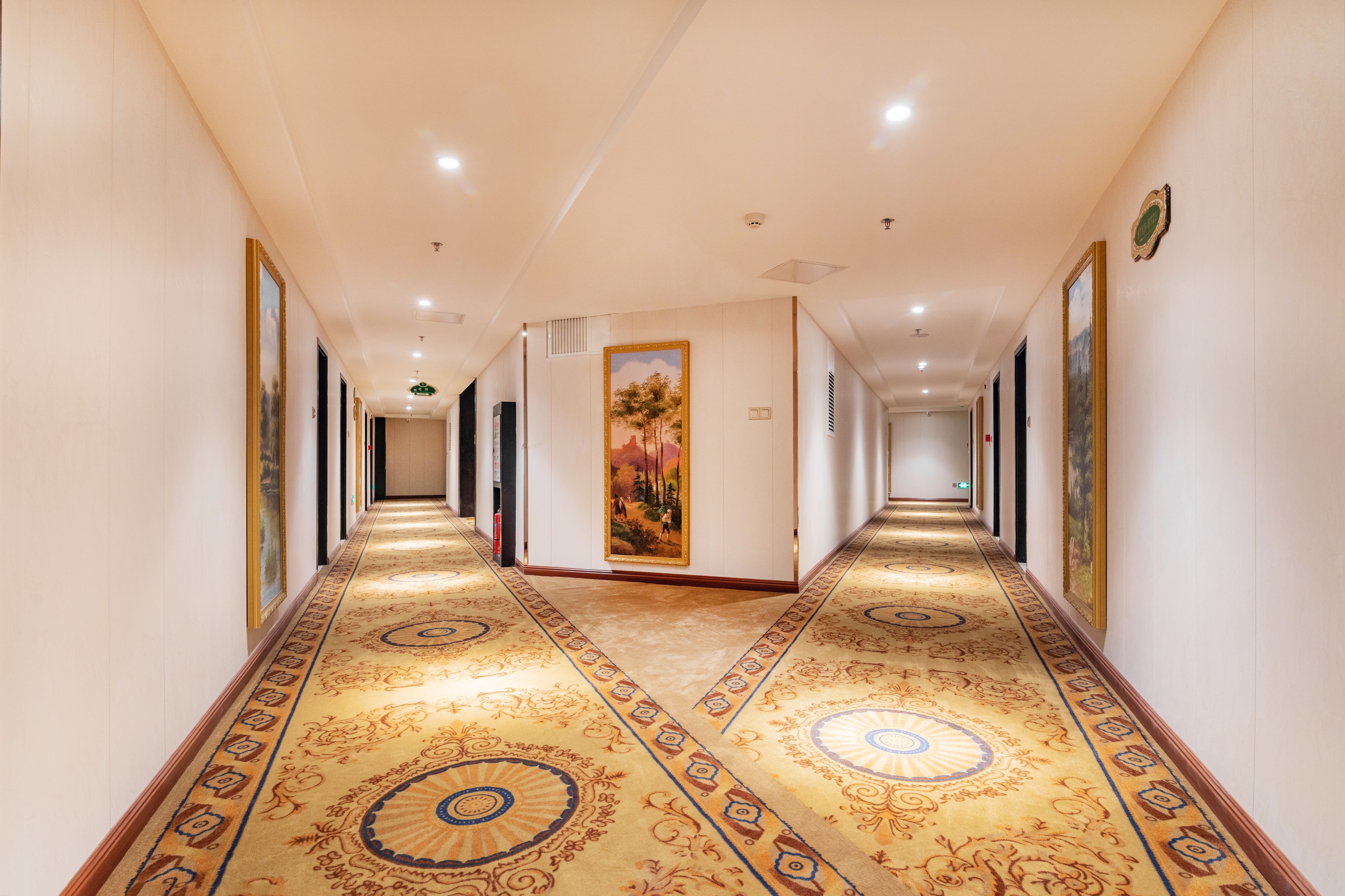 Vienna Classic Hotel (Yunfu Hekou) Over view