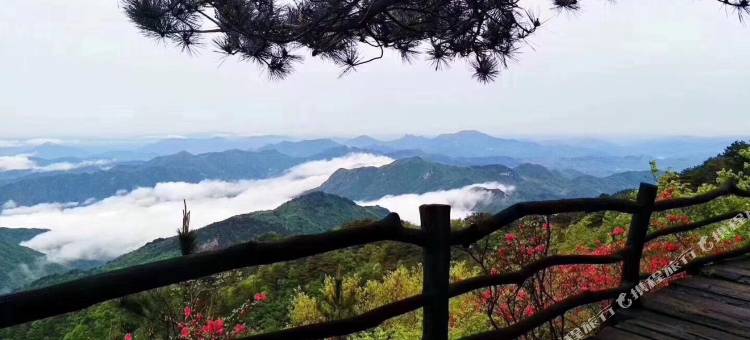 麻城望龟楼酒店图片