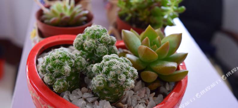 久墅艺庭别墅(北海银滩店)图片