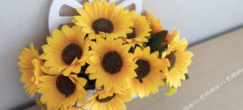 丽儿雅室公寓(西安5号店)图片