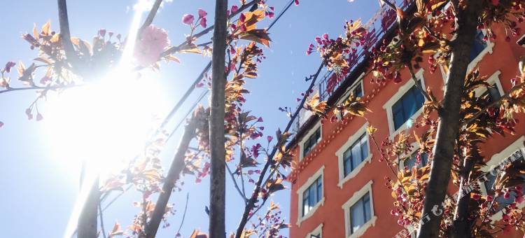 八宿泰洪主题酒店图片