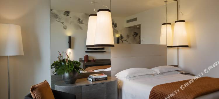 星际埃科酒店(Starhotels Echo)图片