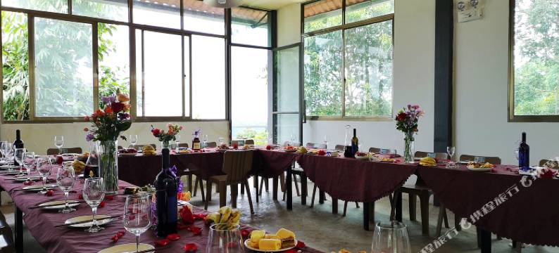 勐海龙巴庄园图片