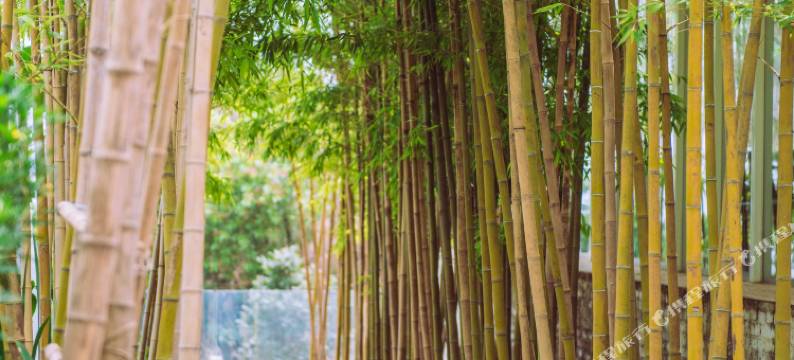 抚仙湖遇忱度假酒店图片