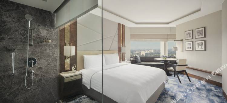新德里香格里拉爱神酒店(Shangri-La Eros, New Delhi)图片