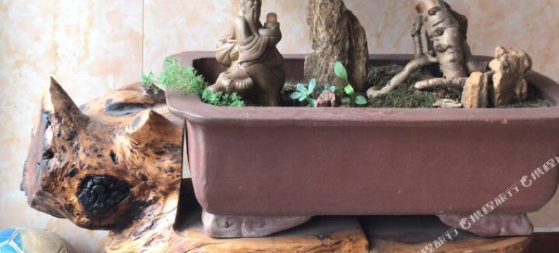 枣阳龙成宾馆(光武路店)图片