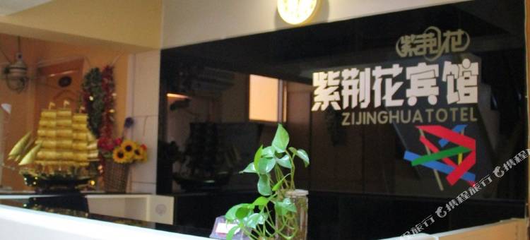 青岛紫荆花宾馆图片