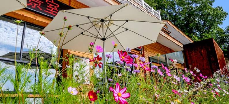 老君山景室摄影主题酒店(中天门广场店)图片