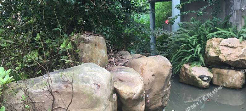 清远欧式风情别墅图片