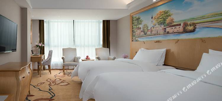 维也纳酒店(宜州三棵树店)图片