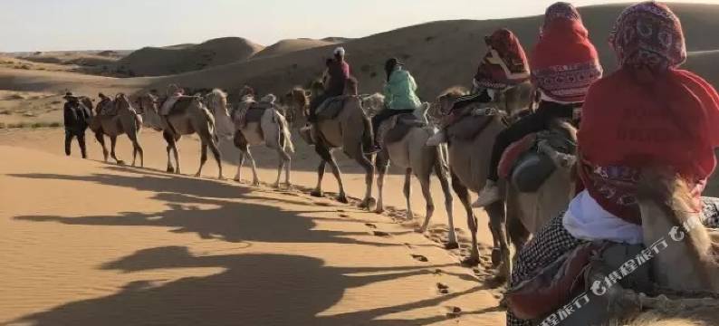 沙坡头大漠客栈图片