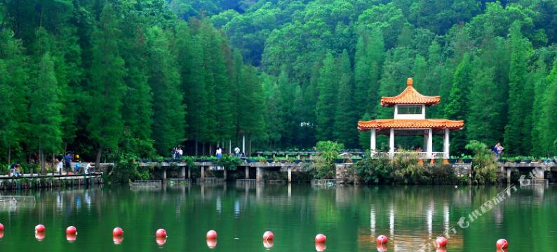 铂纳斯国际酒店(深圳莲塘地铁站店)图片