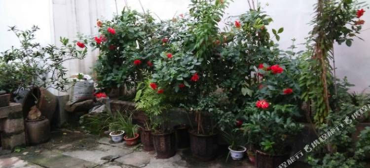 黄山闲庭小院图片