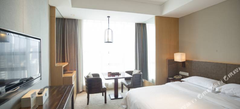 宜临国际大酒店(合肥合作化路店)图片