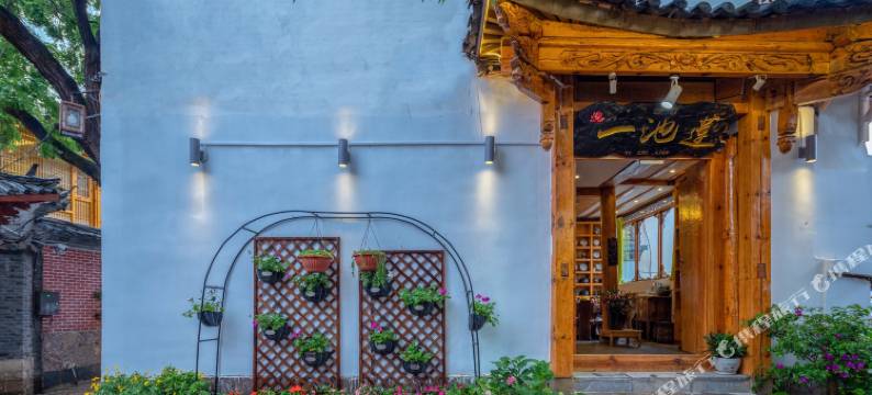 丽江一池莲客栈图片