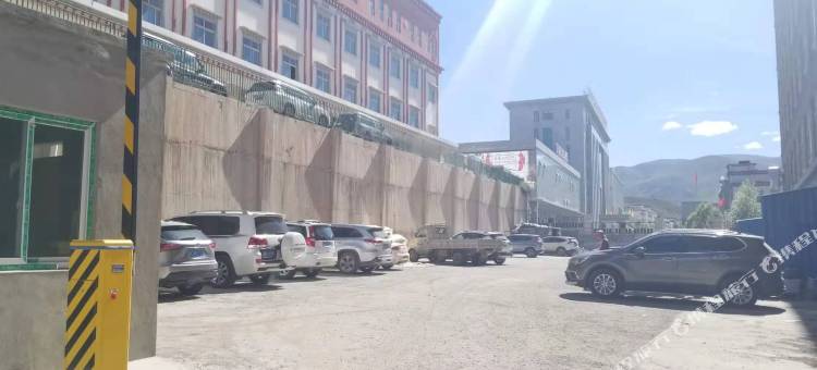 丁青虫草大酒店图片