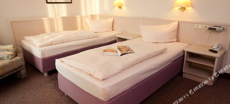 吕德斯海姆特劳贝酒店(Hotel Traube Rüdesheim)图片