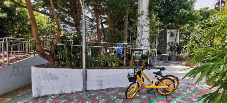 厦门93学舍客栈图片