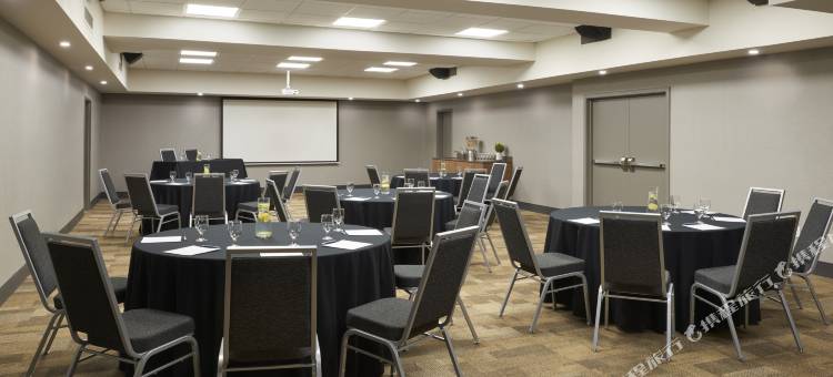 温莎市中心福朋喜来登酒店(Four Points by Sheraton Windsor Downtown)图片