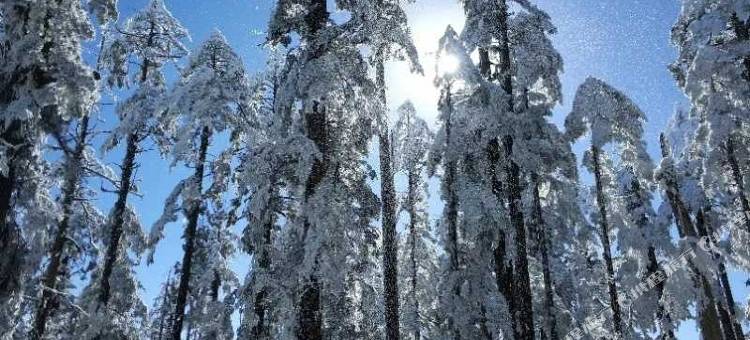 洪雅宏扬酒店(瓦屋山景区店)图片