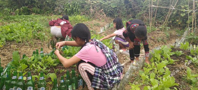 元阳路晟阳光客栈图片
