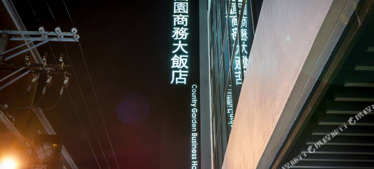 嘉义国园商务大饭店图片